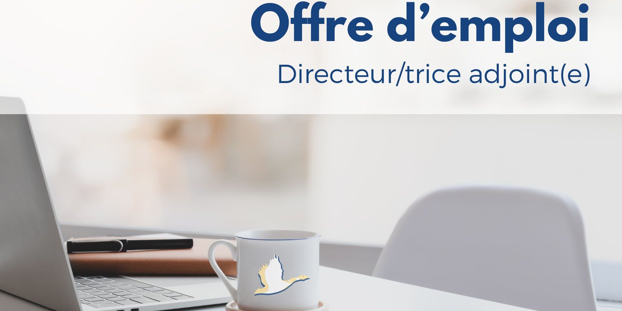 Offre d’emploi